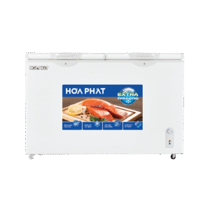 Tủ đông Hòa Phát HCF 606S2N2 245 lít